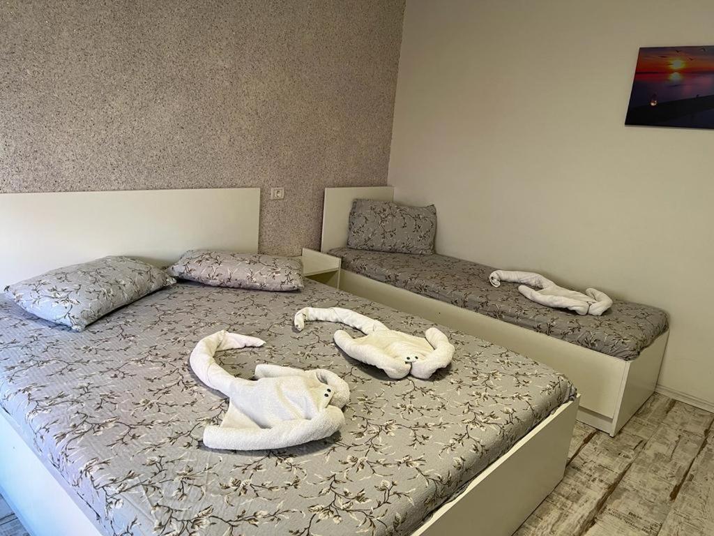 Amalya Hotel Constanta Exterior photo